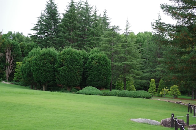 Landscaped home garden with green lawn